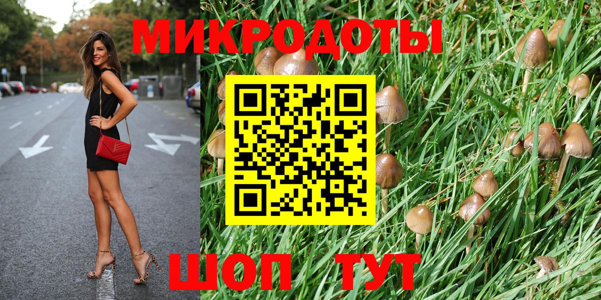 Псилоцибиновые грибы Magic Shrooms Дальнегорск