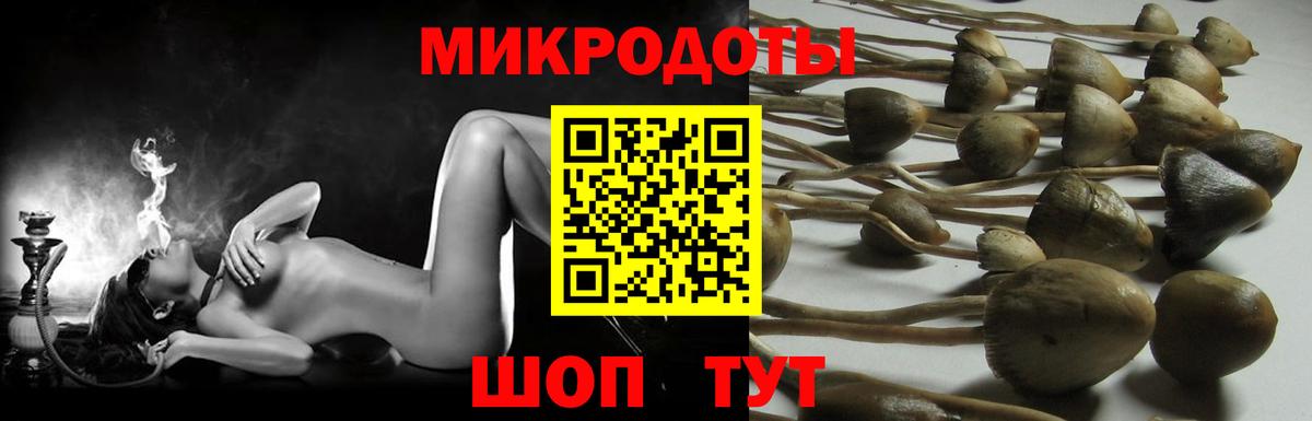 Псилоцибиновые грибы мухоморы  Вход с VPN  Дальнегорск 